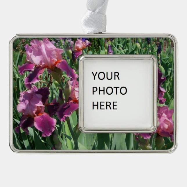 Lila Ire Spring Floral Rahmen-Ornament Silber (Vorderseite)