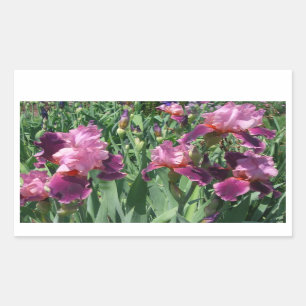 Lila Ire Spring Floral Rechteckiger Aufkleber