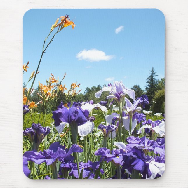 Lila Ire und Sky Mousepad (Vorne)