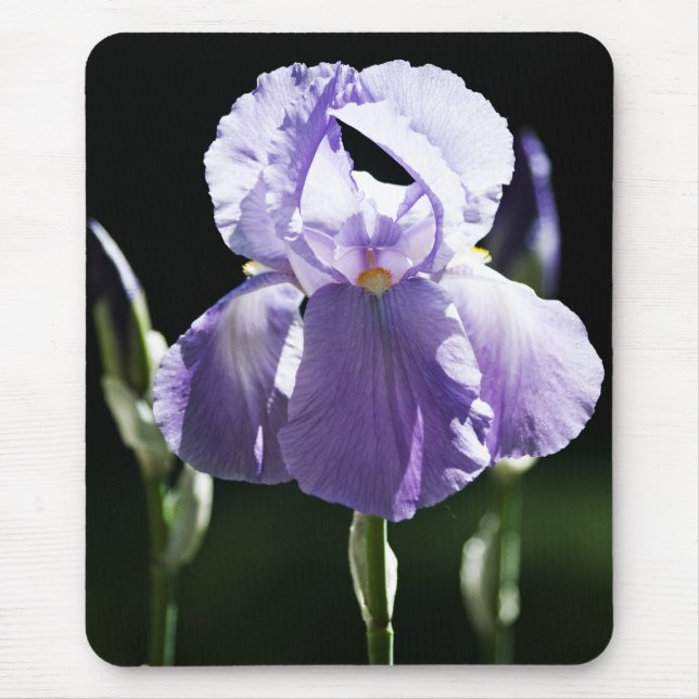 Lila Iris 8393 Mousepad (Vorne)