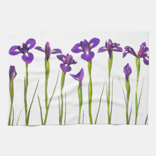 Lila Iris abgeschieden auf einem weißen Handtuch