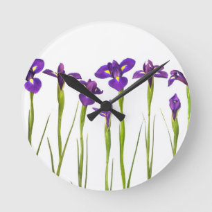 Lila Iris abgeschieden auf einem weißen Runde Wanduhr