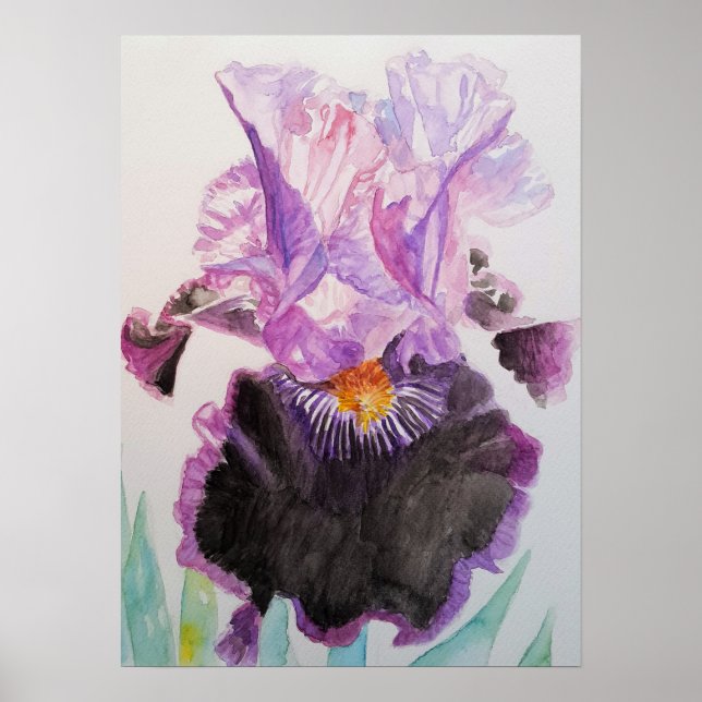 Lila Iris Art Blume Wasserfarben Poster (Vorne)