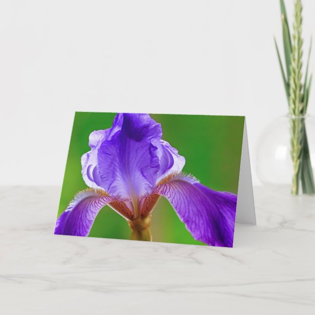 Lila Iris Birthday Card Karte (Vorderseite)