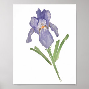 Lila Iris Blume Aquarellmalerei Poster