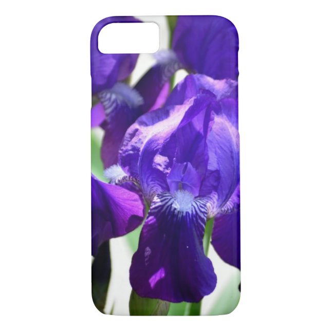 Lila Iris-Blume Case-Mate iPhone Hülle (Rückseite)