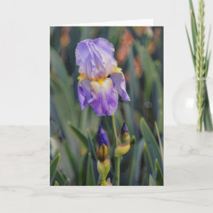 Lila-Iris-Blume Florale Kunst Garten Notizkarte Karte