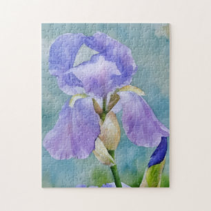 Lila Iris Blume Florenz