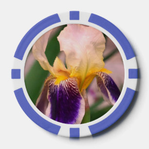 Lila Iris Blume Foto Clay Poker Chips