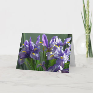 Lila Iris Blume Foto Grußkarte Karte