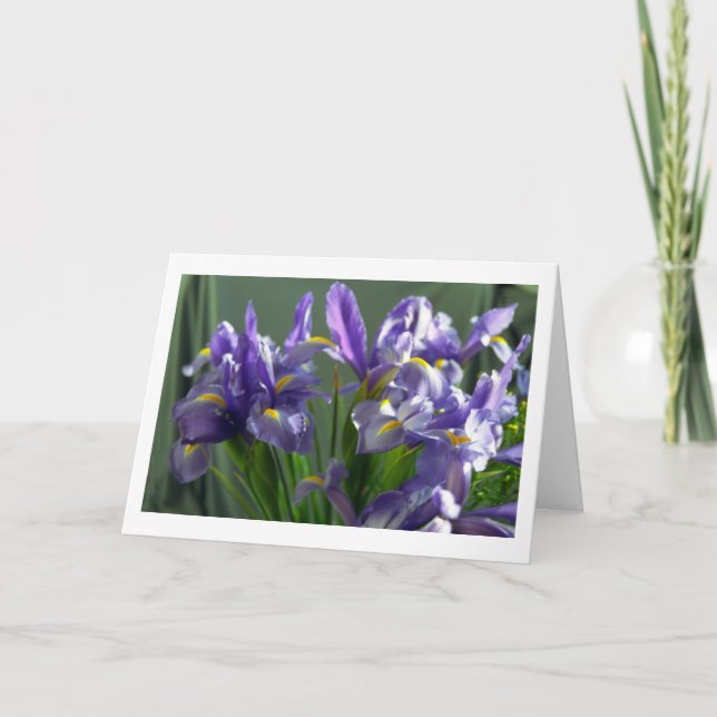Lila Iris Blume Foto Grußkarte Karte (Vorderseite)
