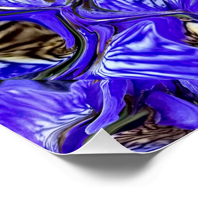 Lila Iris-Blume / geslandet / gekocht / Poster (Ecke)