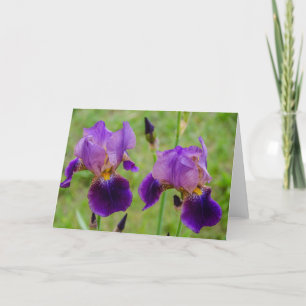 Lila Iris - Blume - Muttertag - Geburtstag Karte