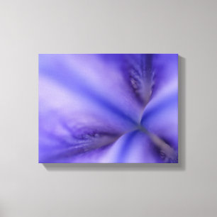 Lila Iris-Blume Nah Leinwanddruck