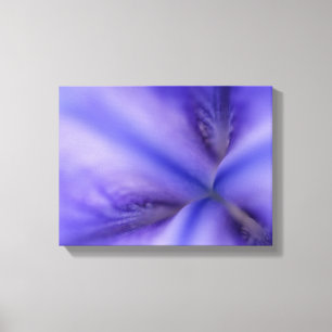Lila Iris-Blume Nah Leinwanddruck