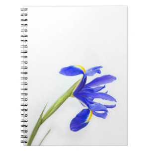 Lila Iris-Blume Notizblock