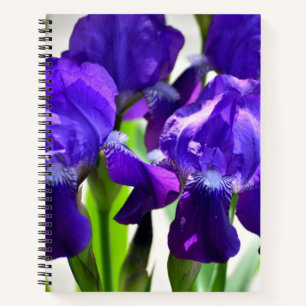 Lila Iris-Blume Notizbuch