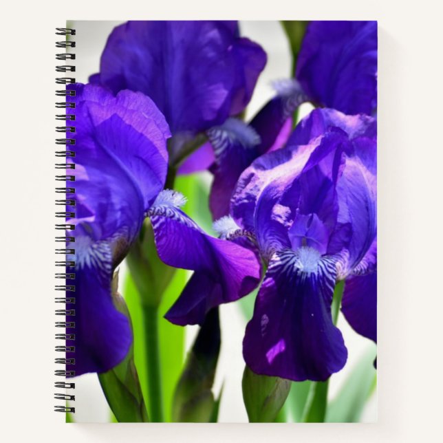 Lila Iris-Blume Notizbuch (Vorderseite)