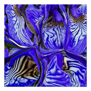 Lila Iris-Blume Poster