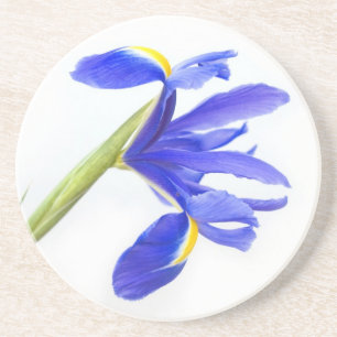 Lila Iris-Blume Sandstein Untersetzer