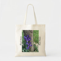 Lila Iris-Blume