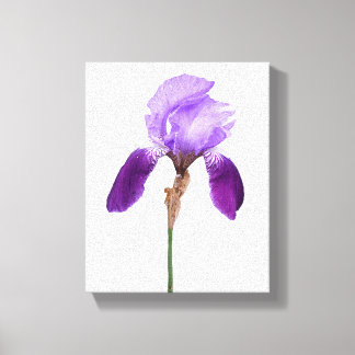 Lila Iris-Blume trendy boho Blumengläsern, gurt Leinwanddruck