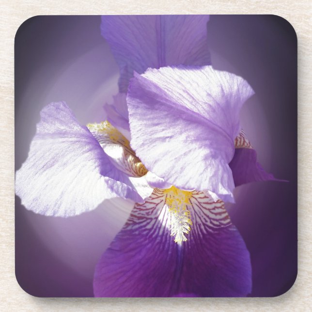 lila Iris-Blume Untersetzer (Vorderseite)