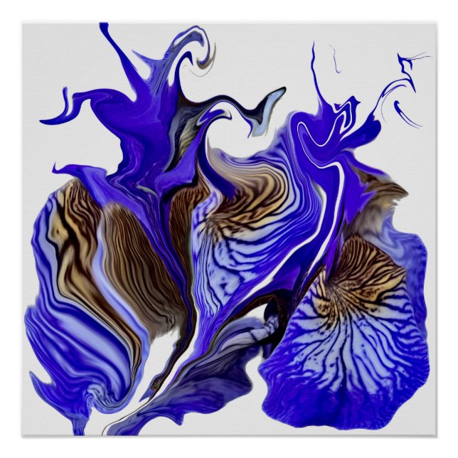 Lila Iris Blume Wirbel Poster (Vorderseite)