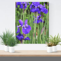 Lila Iris Botanical Floral