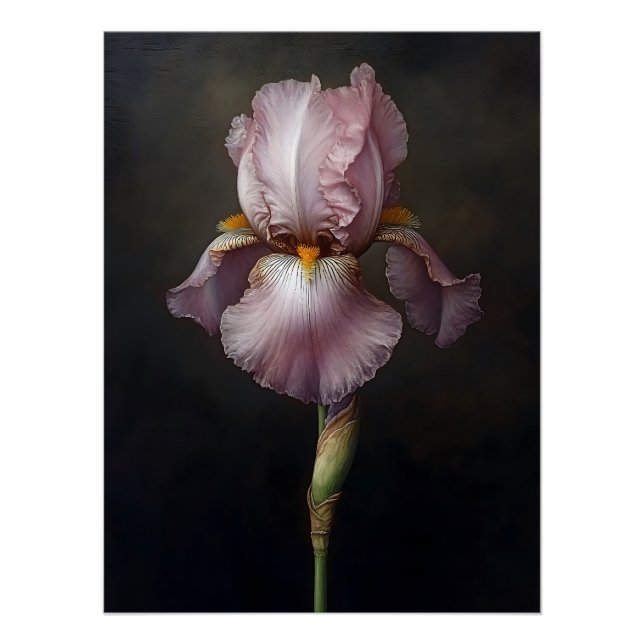 Lila Iris-Botanikmalerei Poster (Vorderseite)