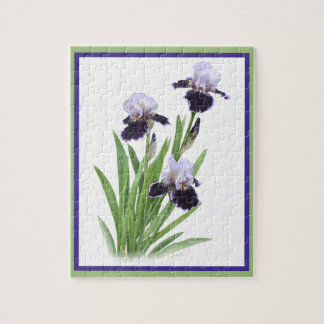 Lila Iris Botanische Kunst