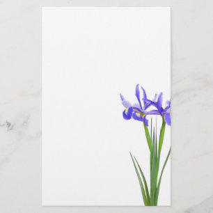 Lila Iris Briefpapier