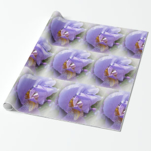 lila Iris Geschenkpapier
