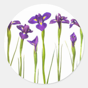 Lila Iris - Iris-Blume kundengebundene Schablone Runder Aufkleber