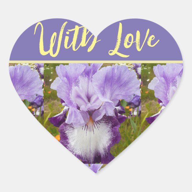 Lila Iris Irische Blume Kunst mit Liebe Herz-Aufkleber (Vorderseite)