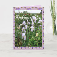 Lila Iris irises Garden Thinking of You Card