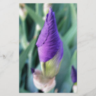 lila Iris-Knospe Briefpapier