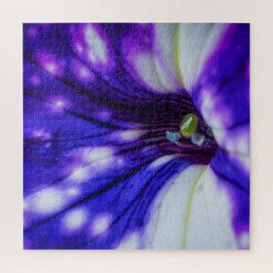 Lila Iris Makro – Lebendige Nahaufnahme-Blumenkuns