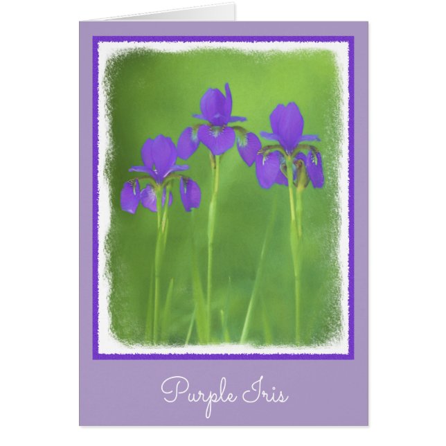 Lila Iris-Malerei - Original Blume Kunst (Vorne)