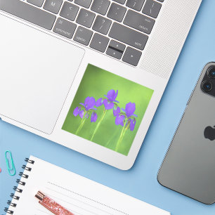 Lila Iris-Malerei - Original Blume Kunst Aufkleber