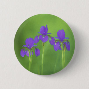 Lila Iris-Malerei - Original Blume Kunst Button
