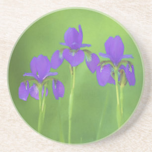 Lila Iris-Malerei - Original Blume Kunst Getränkeuntersetzer