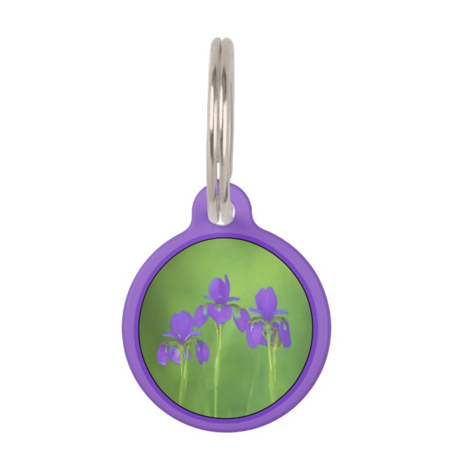 Lila Iris-Malerei - Original Blume Kunst Haustiermarke (Vorderseite)