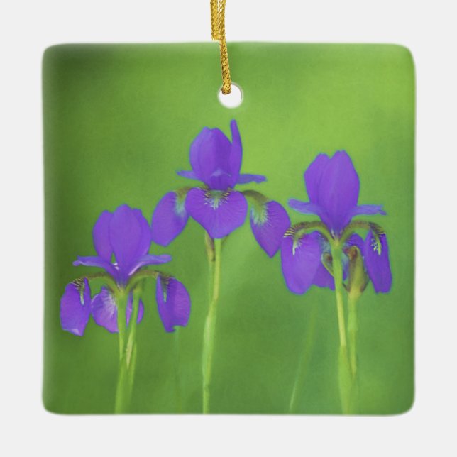 Lila Iris-Malerei - Original Blume Kunst Keramikornament (Vorderseite)