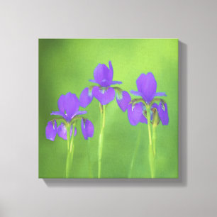 Lila Iris-Malerei - Original Blume Kunst Leinwanddruck