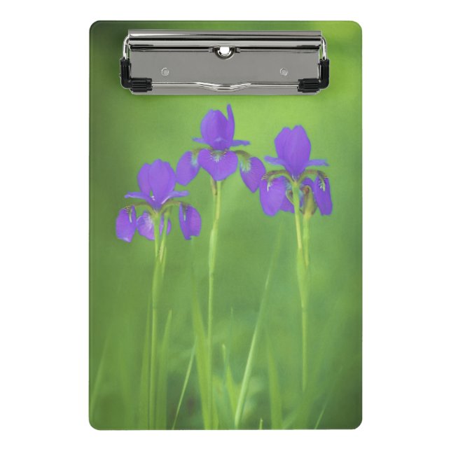 Lila Iris-Malerei - Original Blume Kunst Mini Klemmbrett (Vorderseite)
