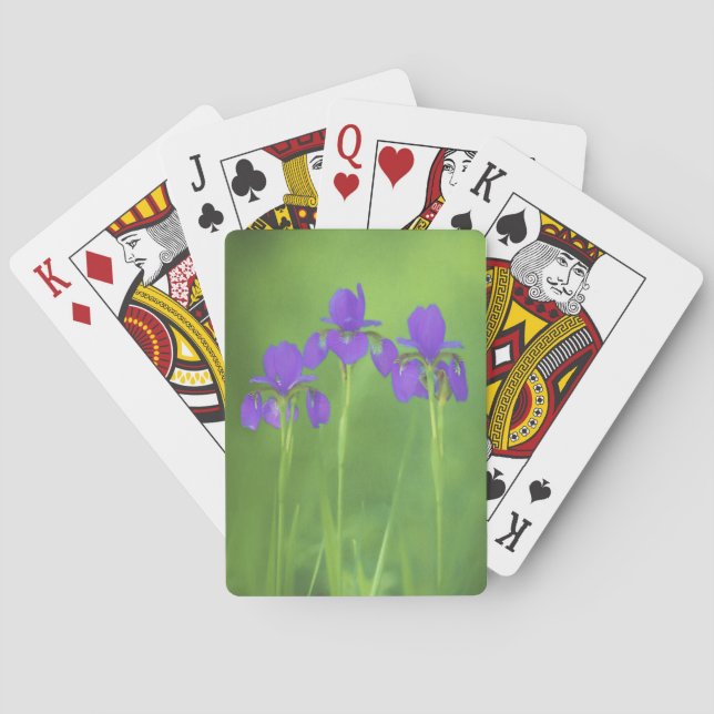 Lila Iris-Malerei - Original Blume Kunst Spielkarten (Rückseite)