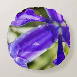 Lila Iris mit Regentropfen Rundes Kissen