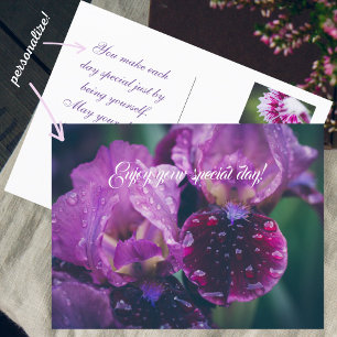 Lila Iris nach dem Regen Postkarte