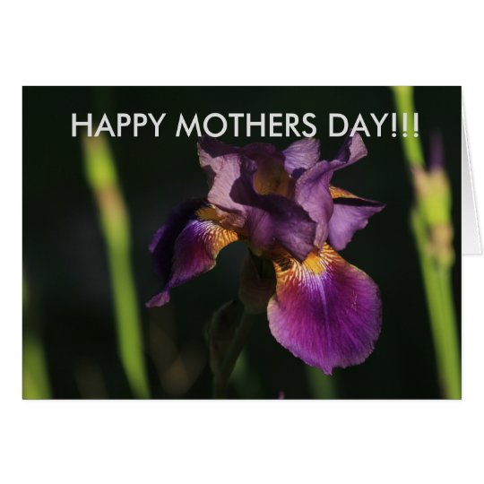 Lila Iris-Nahaufnahme-Mutter-Tageskarte Karte